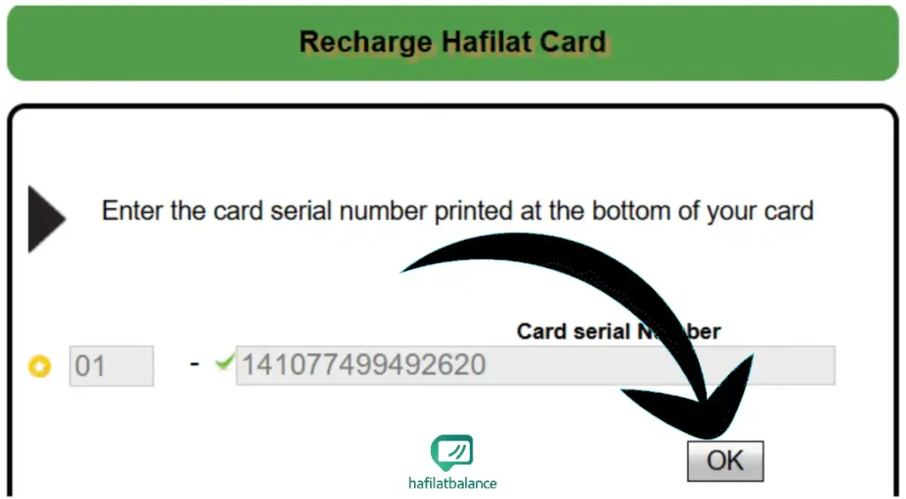 Clicking the Check button on the Hafilat online balance portal